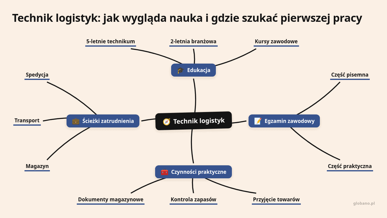 Mapa myśli: Technik logistyk, gałęzie: Edukacja, Egzamin zawodowy, Czynności praktyczne, Ścieżki zatrudnienia